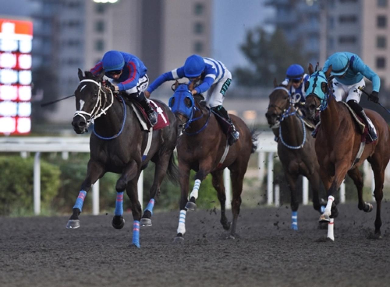 Korea Racing Authority Koşusu'nda kazanan Nansio