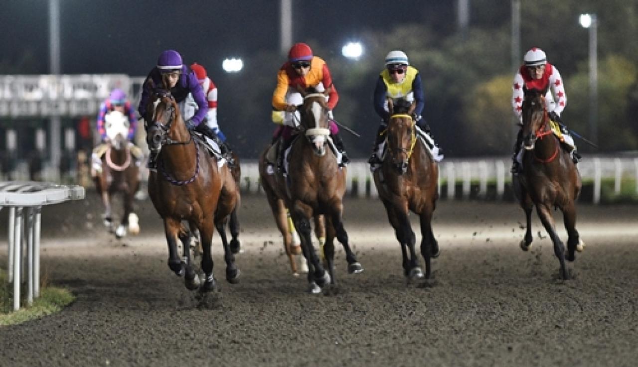 F.G./FRBC Anadolu Koşusu'nu üst üste ikinci kez Vincitore kazandı