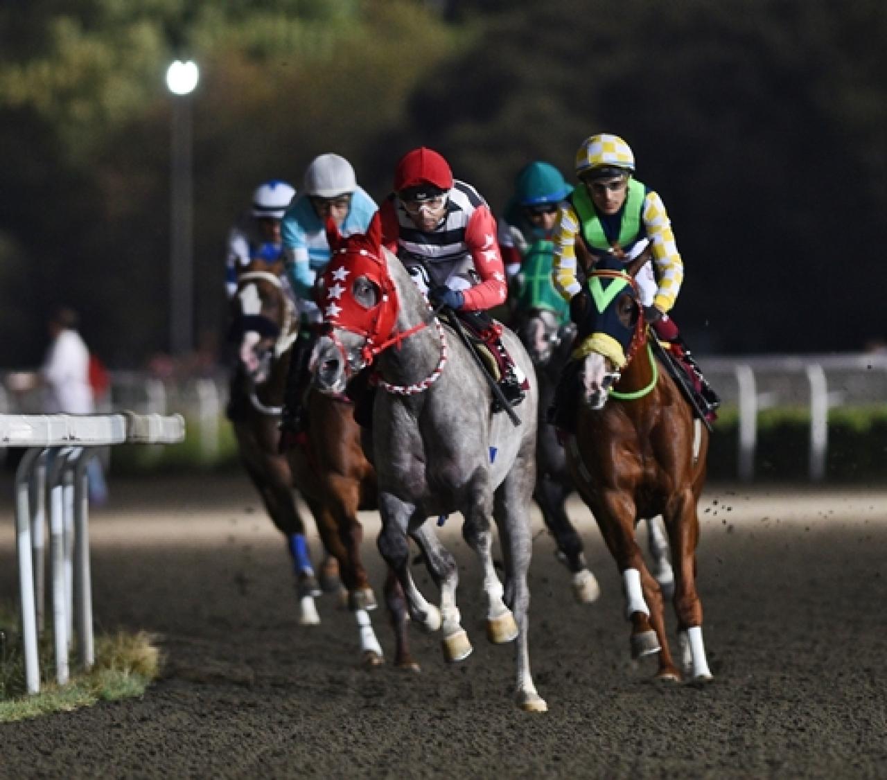 IFAHR Koşusu'nun galibi üst üste ikinci kez Soydere oldu