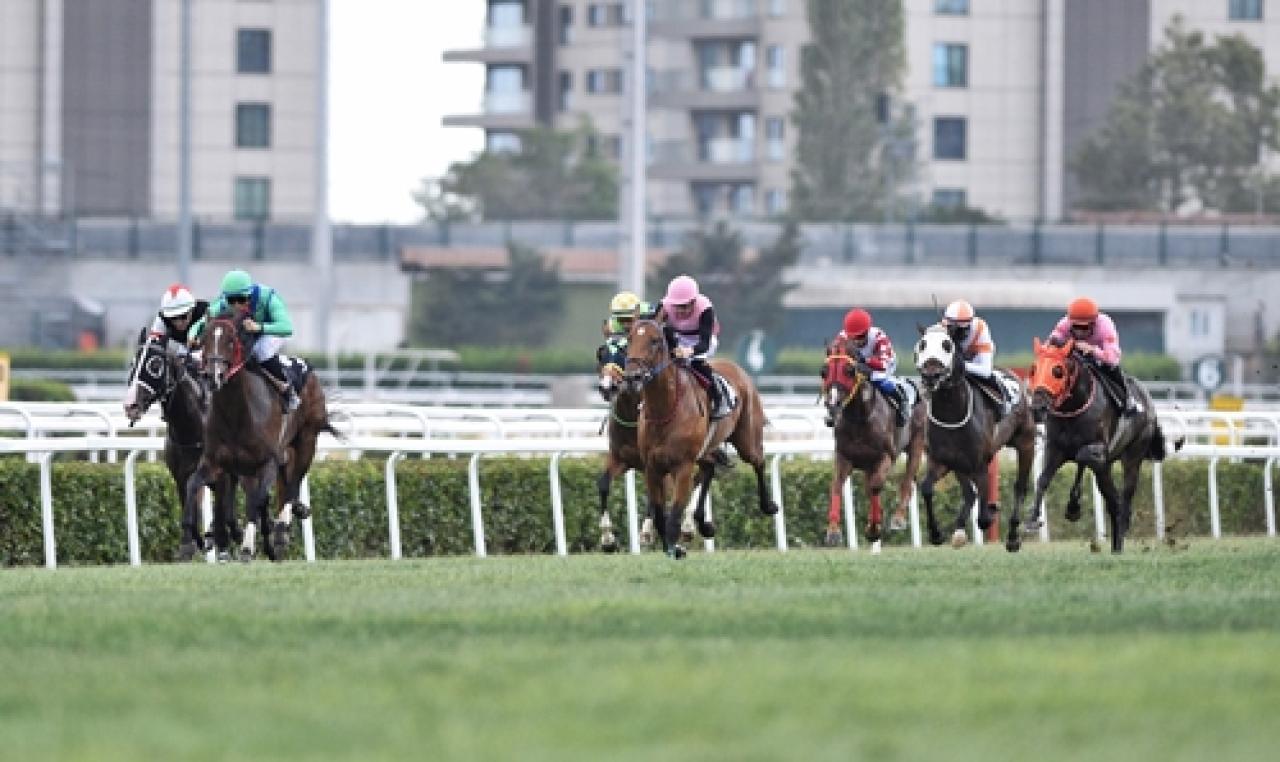 OSAF Koşusu'nu Mesmerized kazandı