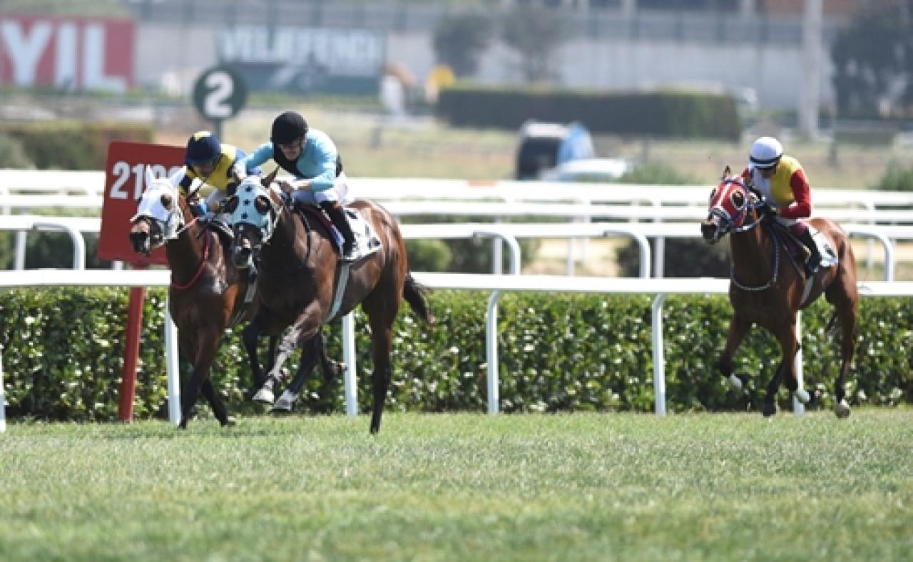 Trakya Koşusu'nda galibiyete Blue Sunset uzandı