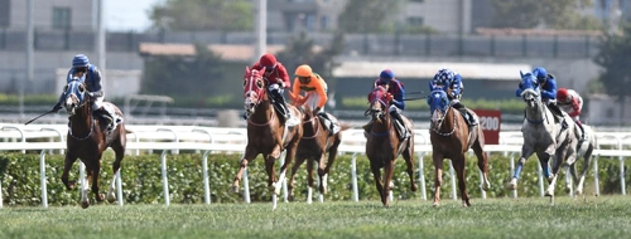 Malazgirt Koşusu'nda zaferin sahibi Sülünbike oldu