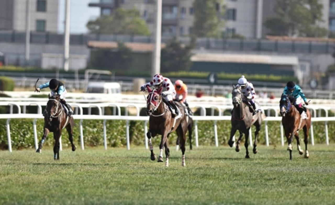 Boğaziçi Koşusu'nda zaferin adı Go Hero