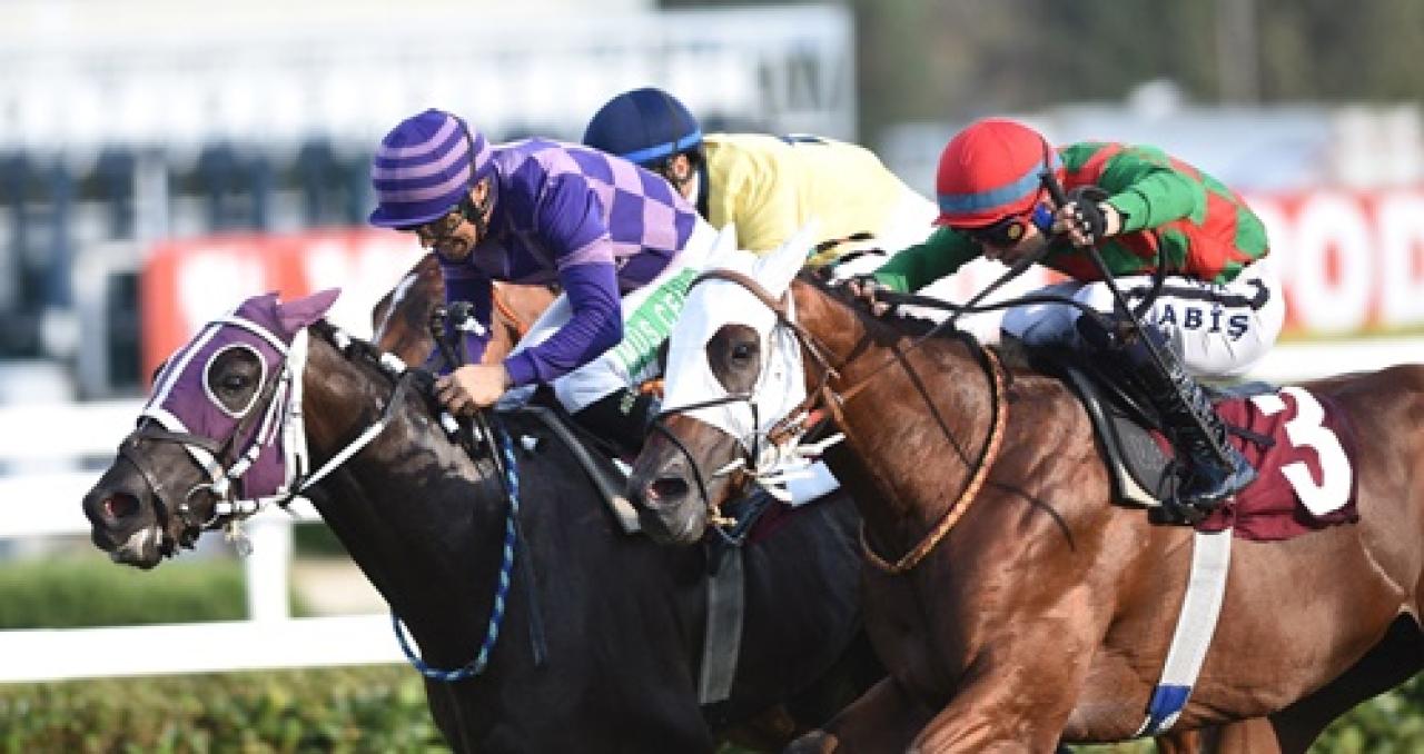 Horse Racing Ireland Koşusu İshakhan’ın oldu
