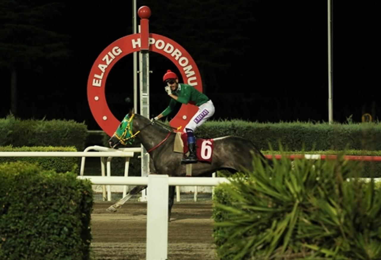 Prof. Dr. Mustafa Temizer Koşusu’nda kazanan Göbeklitepe Ağası oldu