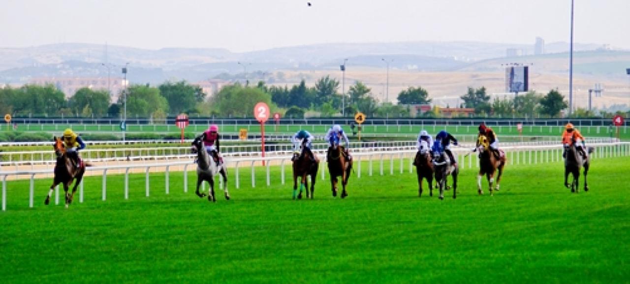 Türk Veteriner Hekimleri Birliği Koşusu'nu Alda Gör kazandı