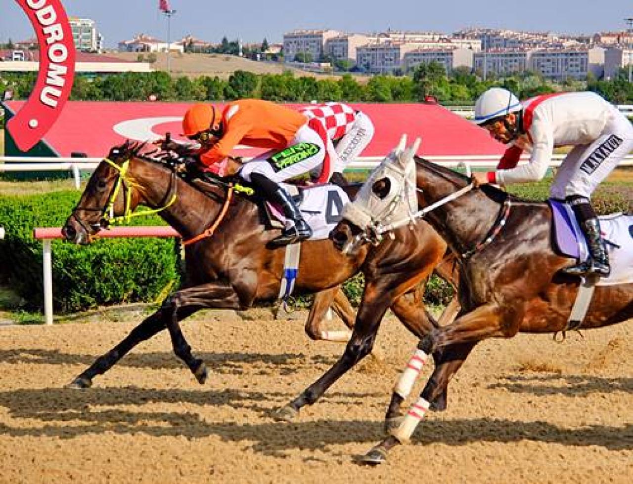Şerife Bacı Koşusu'nu Lament Of Victory kazandı