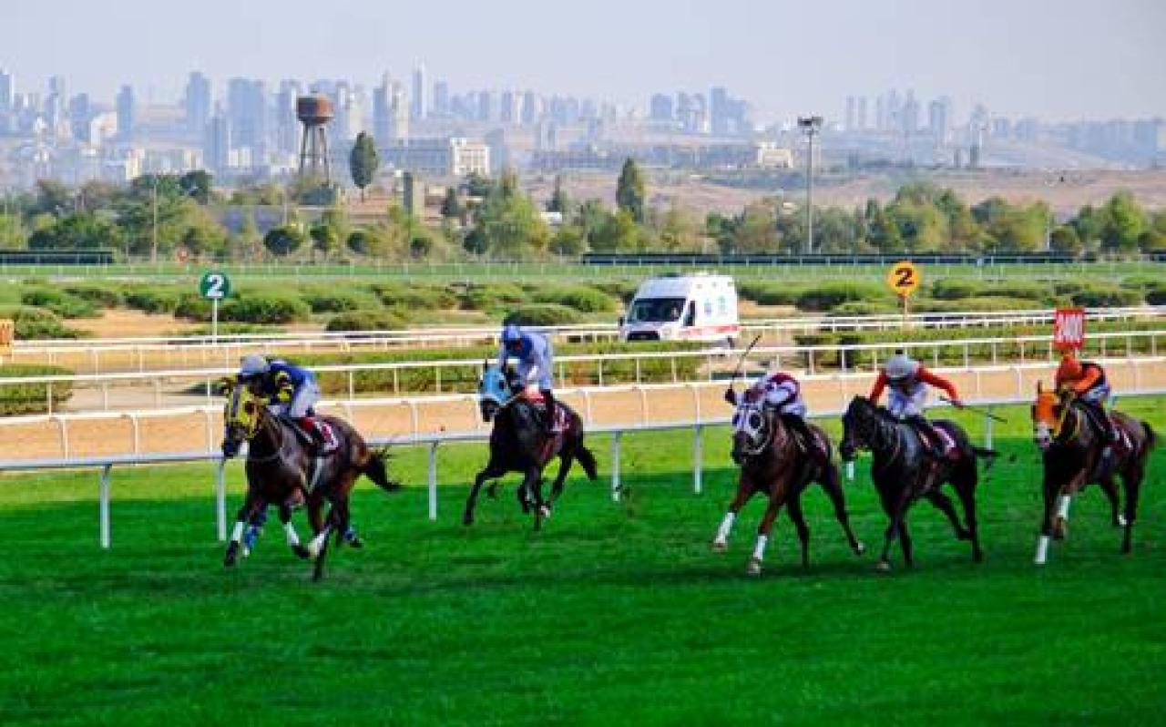 Ankara Kulübü Koşusu'nun galibi Ardaşah oldu