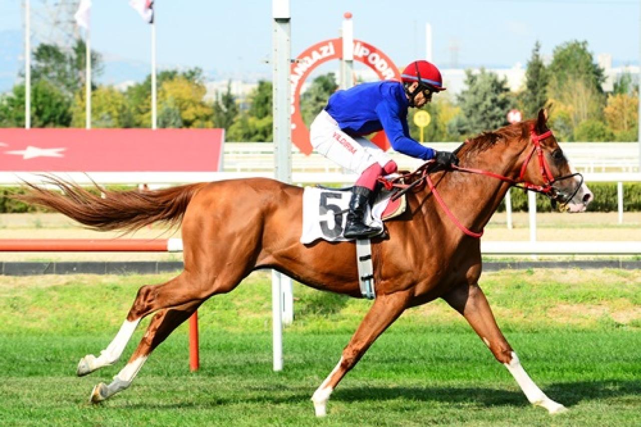 Yunus Emre Koşusu'nu Steps Of Iron kazandı