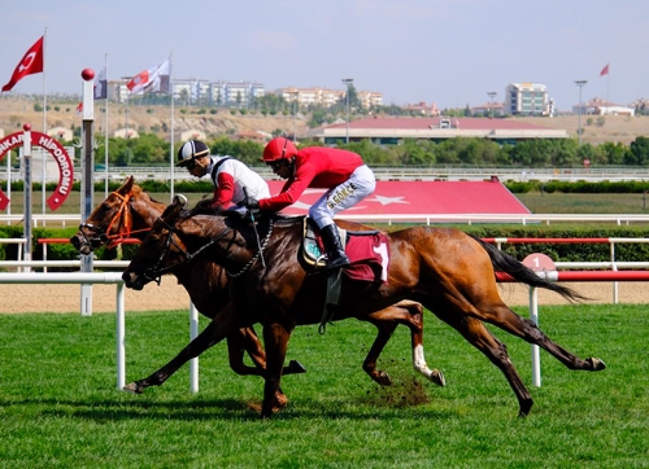 Ali Orhan Birol Koşusu’nu Turdemirkır kazandı