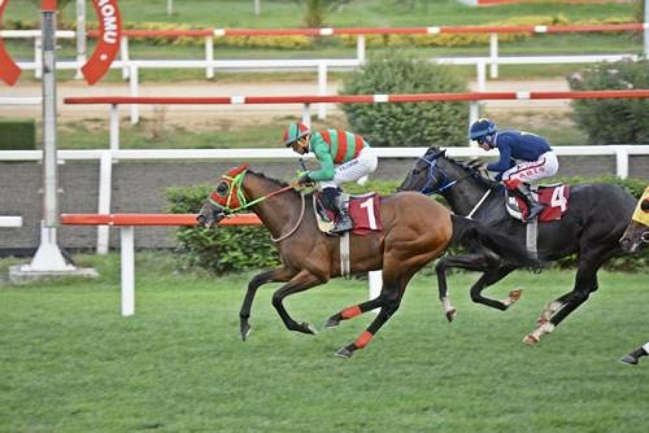 Merhum Asli Üyelerimiz Joe Clarke ve M. Kaya Erkkul’u saygıyla anıyoruz