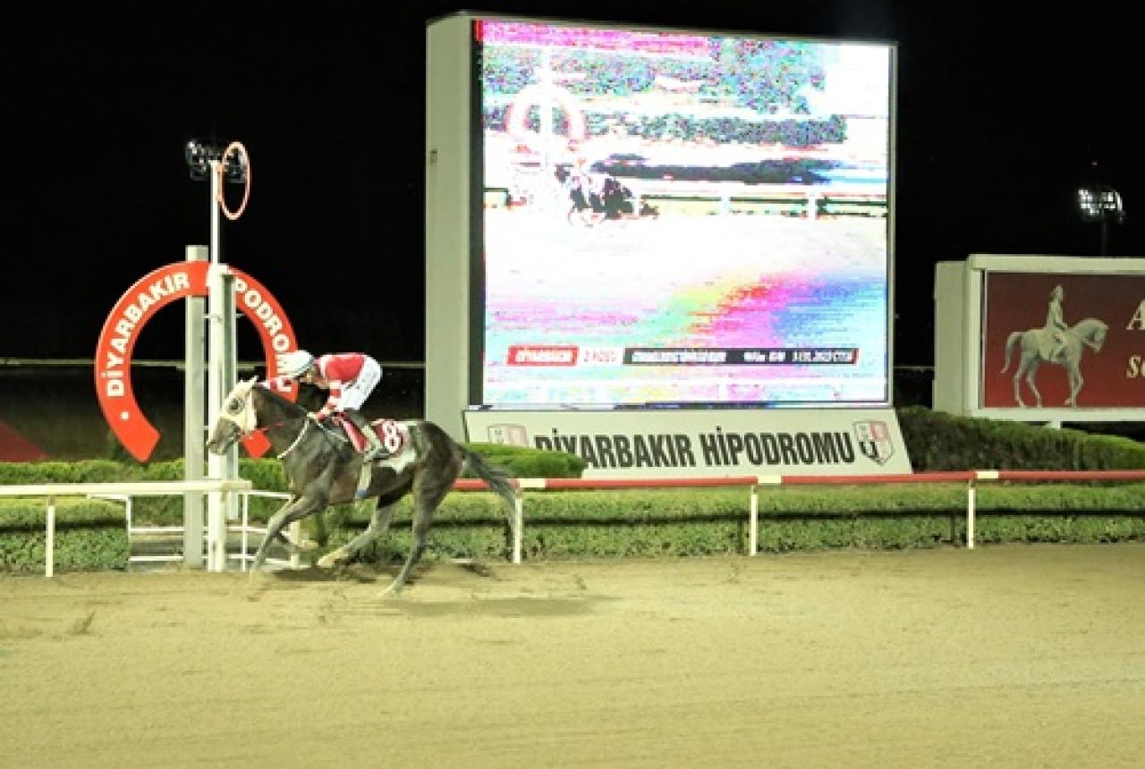 Diyarbakır Emniyet Müdürlüğü Koşusu'nu Şalgamcıoğlu kazandı