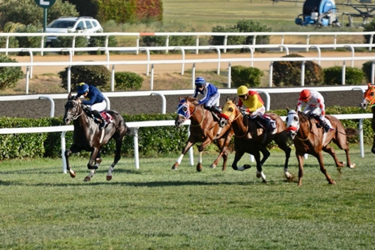 M. Kaya Erkkul Koşusu'nu Jawinger kazandı