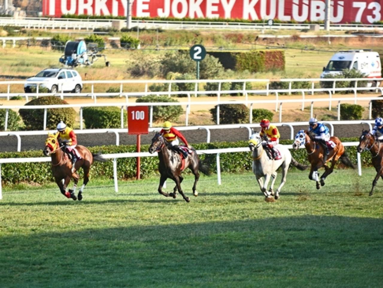 Joe Clarke Koşusu'nun galibi Zephyr West oldu