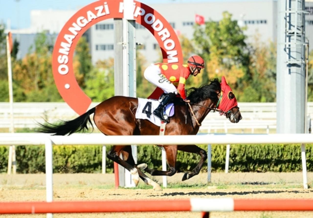 Bursa’daki A3 koşuyu Saraliva Lontana kazandı