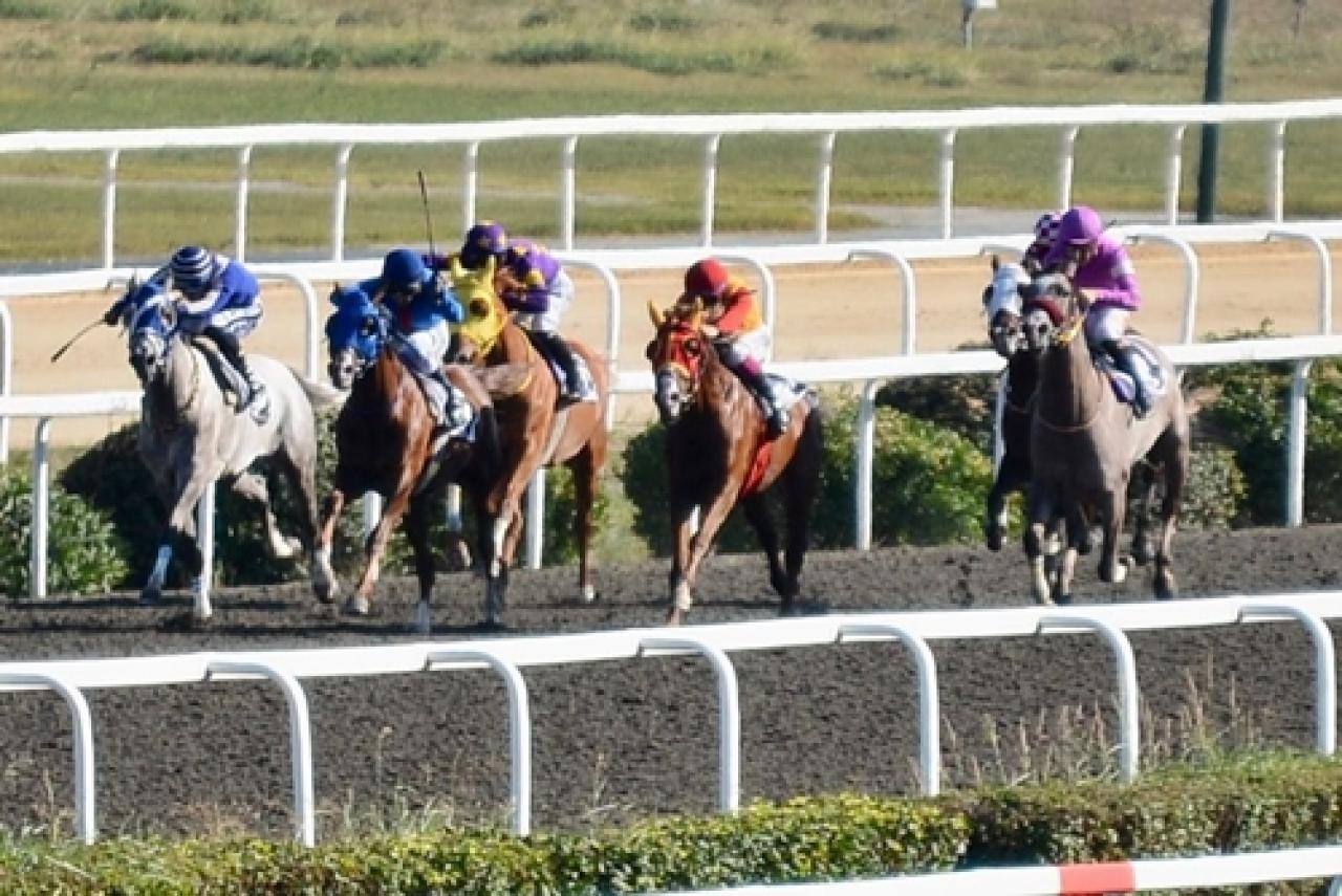 Akbatur Koşusu'nun kazananı Hüküm oldu