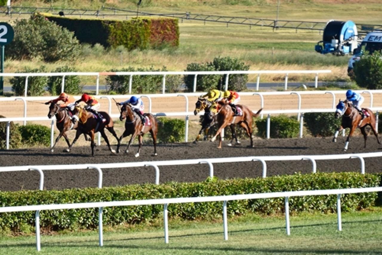 Galip Ekenler Koşusu'nu Pitfall kazandı