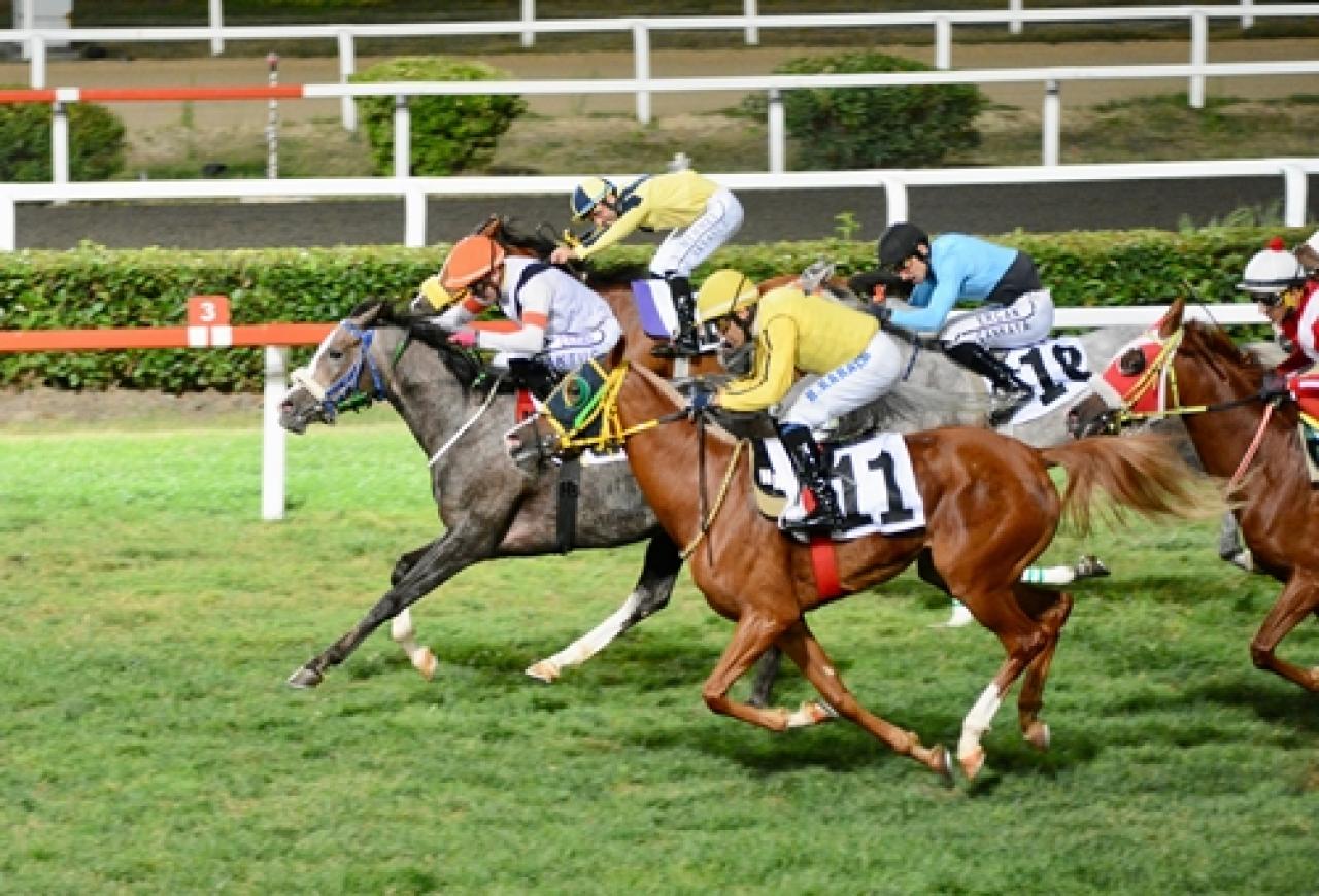 Cahide Koşusu’nda zafere uzanan Marlin oldu