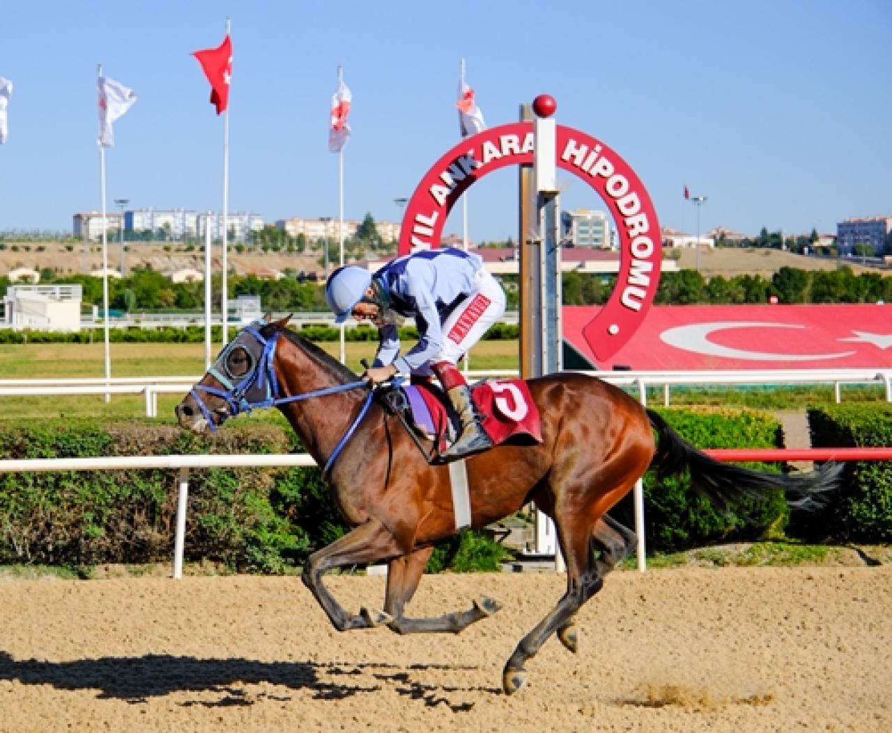 Türkiye Halk Oyunları Koşusu’nu Köklü Xalo kazandı
