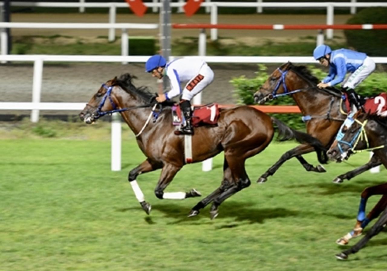 Merhum Asli Üyemiz Hücum Tulgar’ı saygıyla anıyoruz