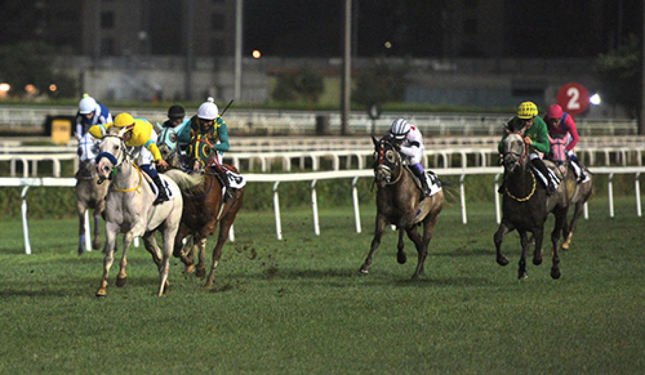 S.A.A.Y. ve Sah. Der. Koşusu'nu Gözpınarı kazandı