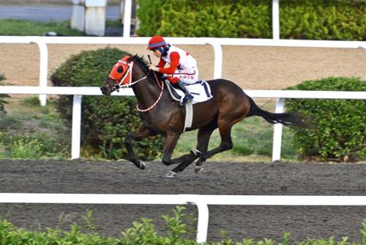Eski başkanlarımızdan Kemal Sahir Kurutluoğlu’nu saygıyla anıyoruz
