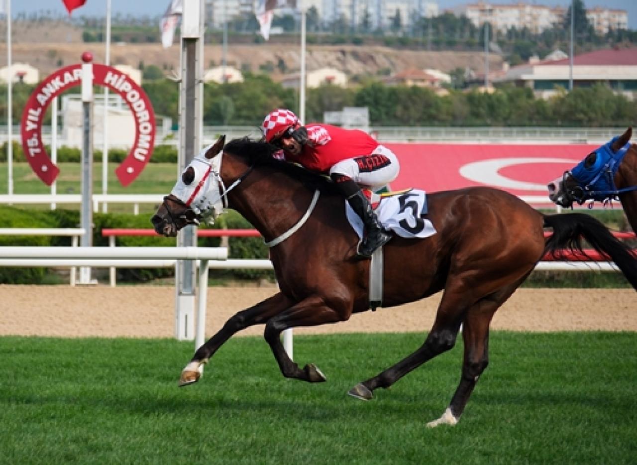 Hatay Koşusu’nda zafere uzanan Bozkırefesi oldu