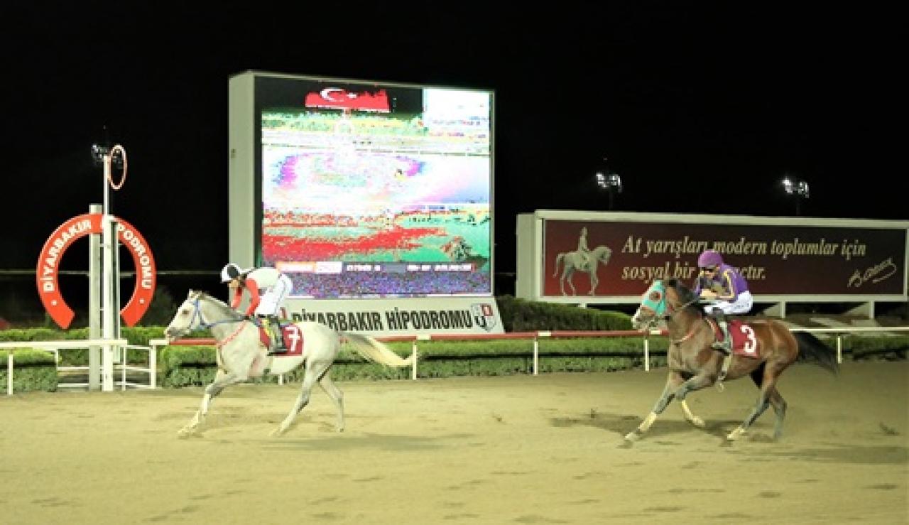 Dicle Üniversitesi Koşusu'nu Şimşek Oğlu kazandı