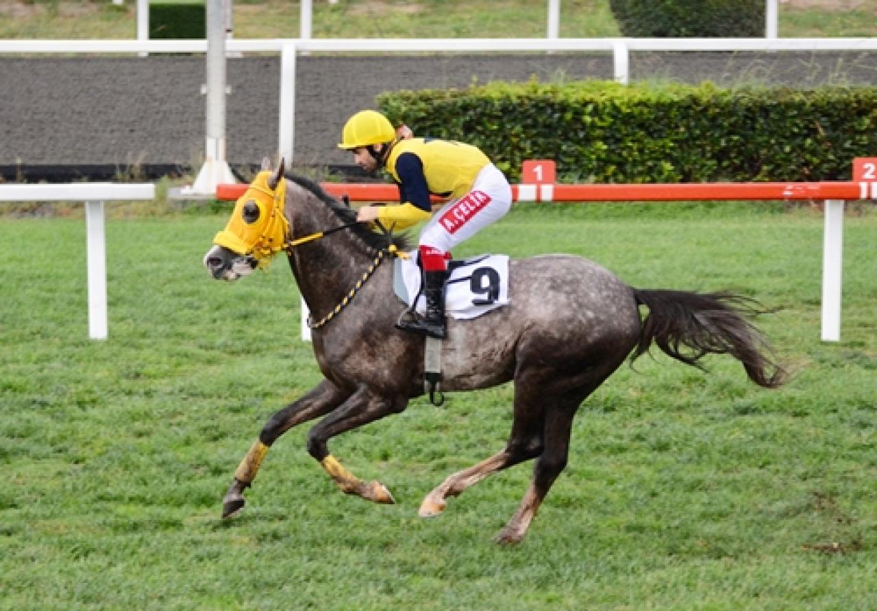 Dumlupınar Koşusu’nda galibiyete Deniz Efe ulaştı