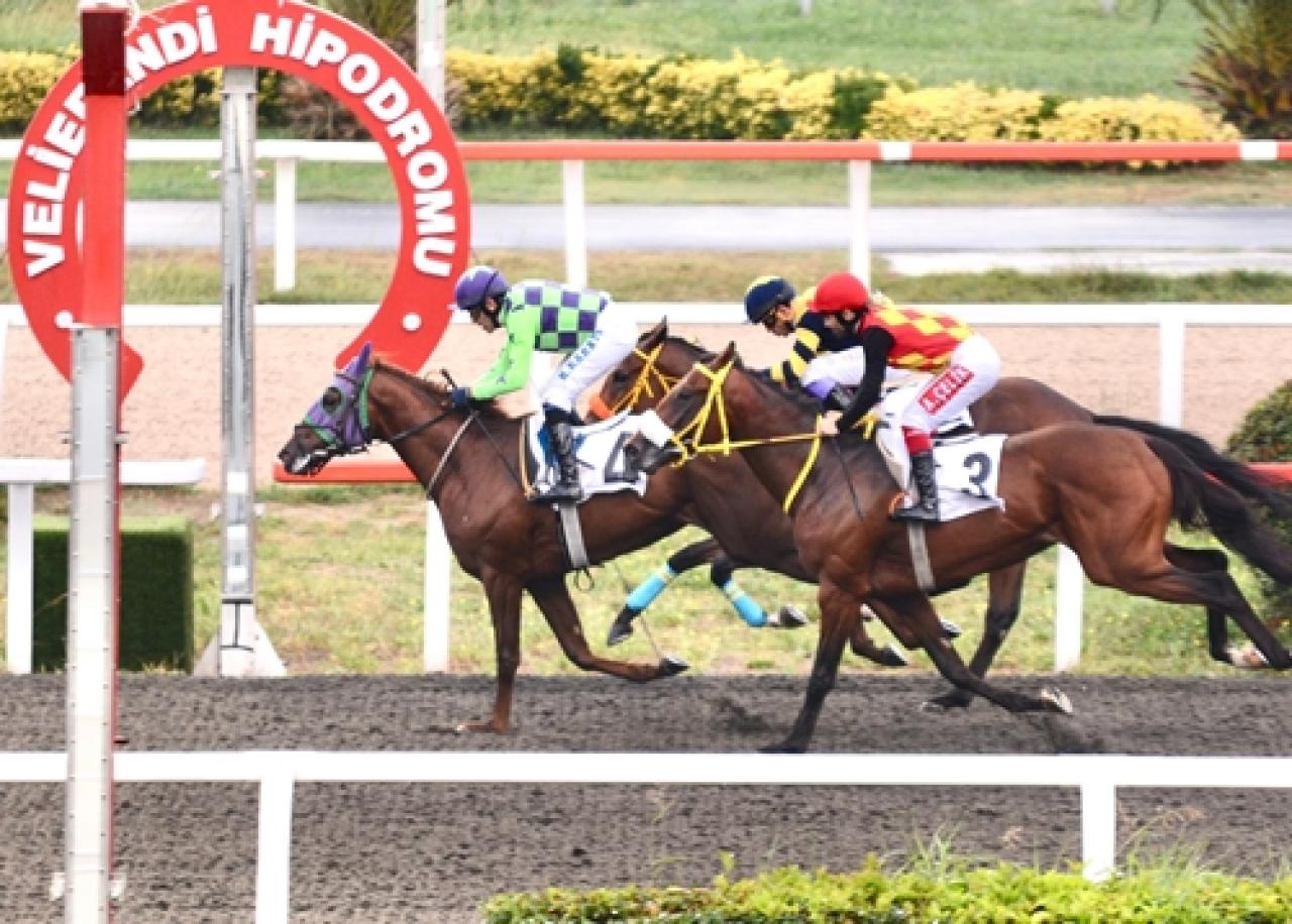 K. Sahir Kurutluoğlu Koşusu’nu Song Rising kazandı