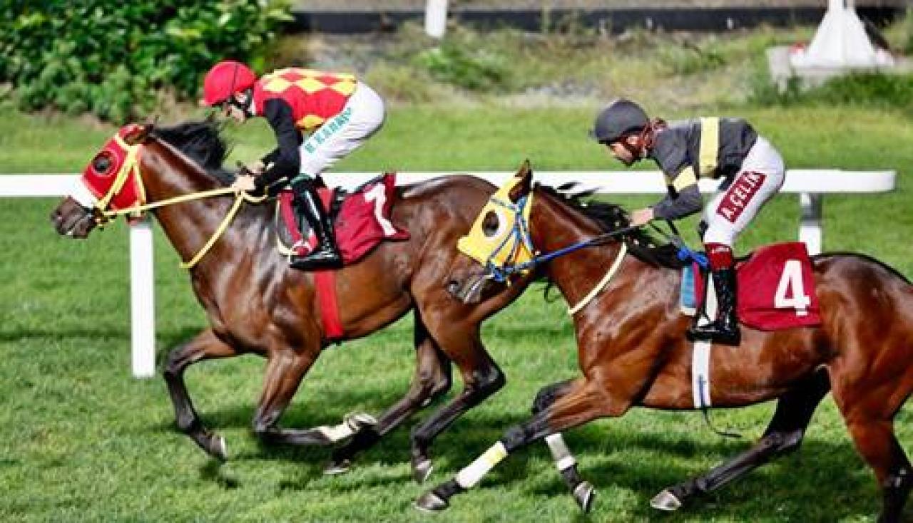 Merhum Asli Üyelerimiz Aydoğan San, Atıf Er ve Faruk Ayral’ı saygıyla anıyoruz