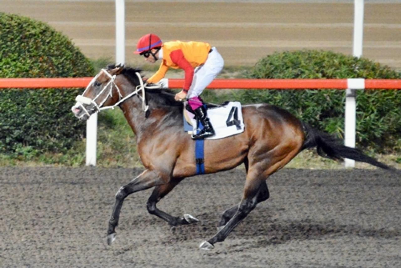 Byerley Turk Koşusu’nda zafer Vincitore’nin oldu