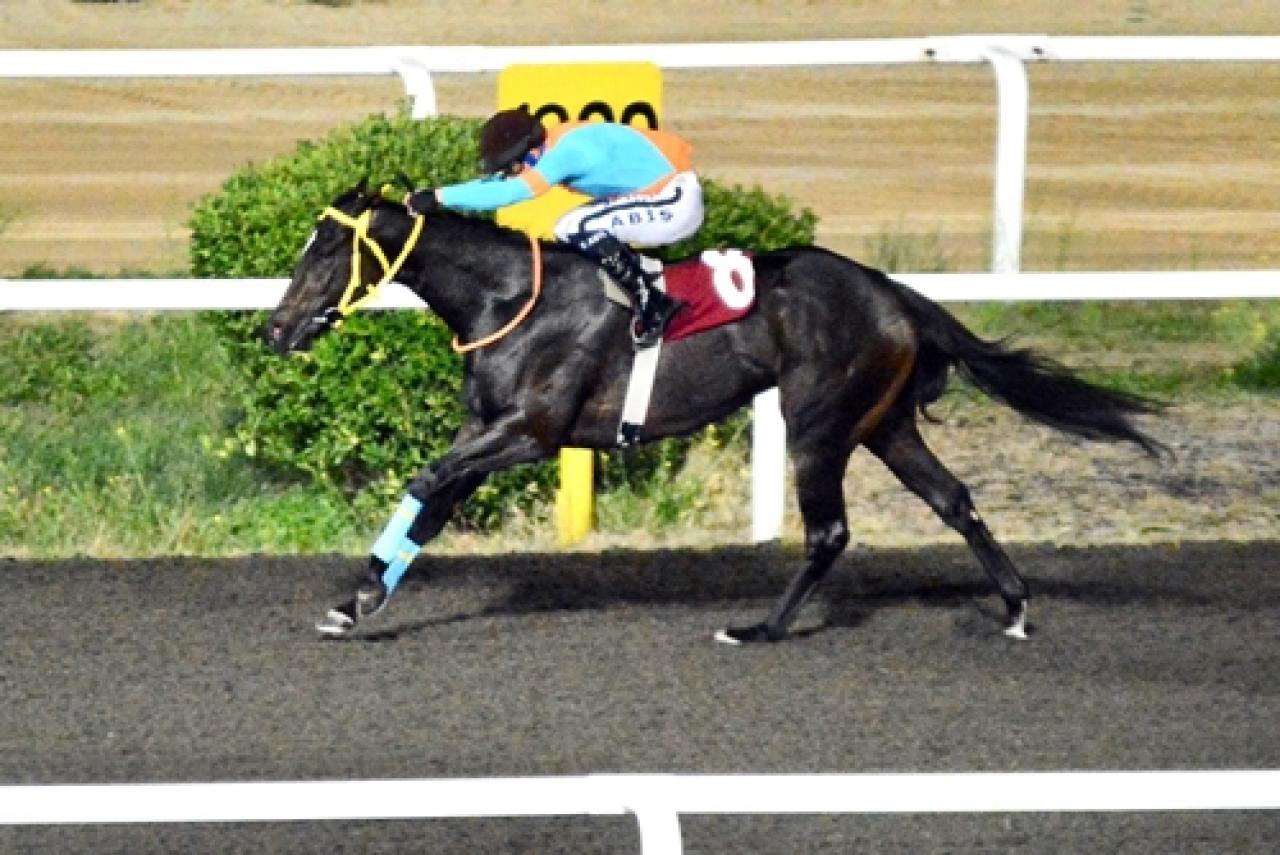 Yusuf Dikman Koşusu’nu Sultans Spirit kazandı