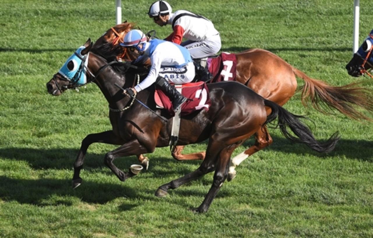 Sir Percy Loraine Koşusu’nda kazanan Raks Star oldu