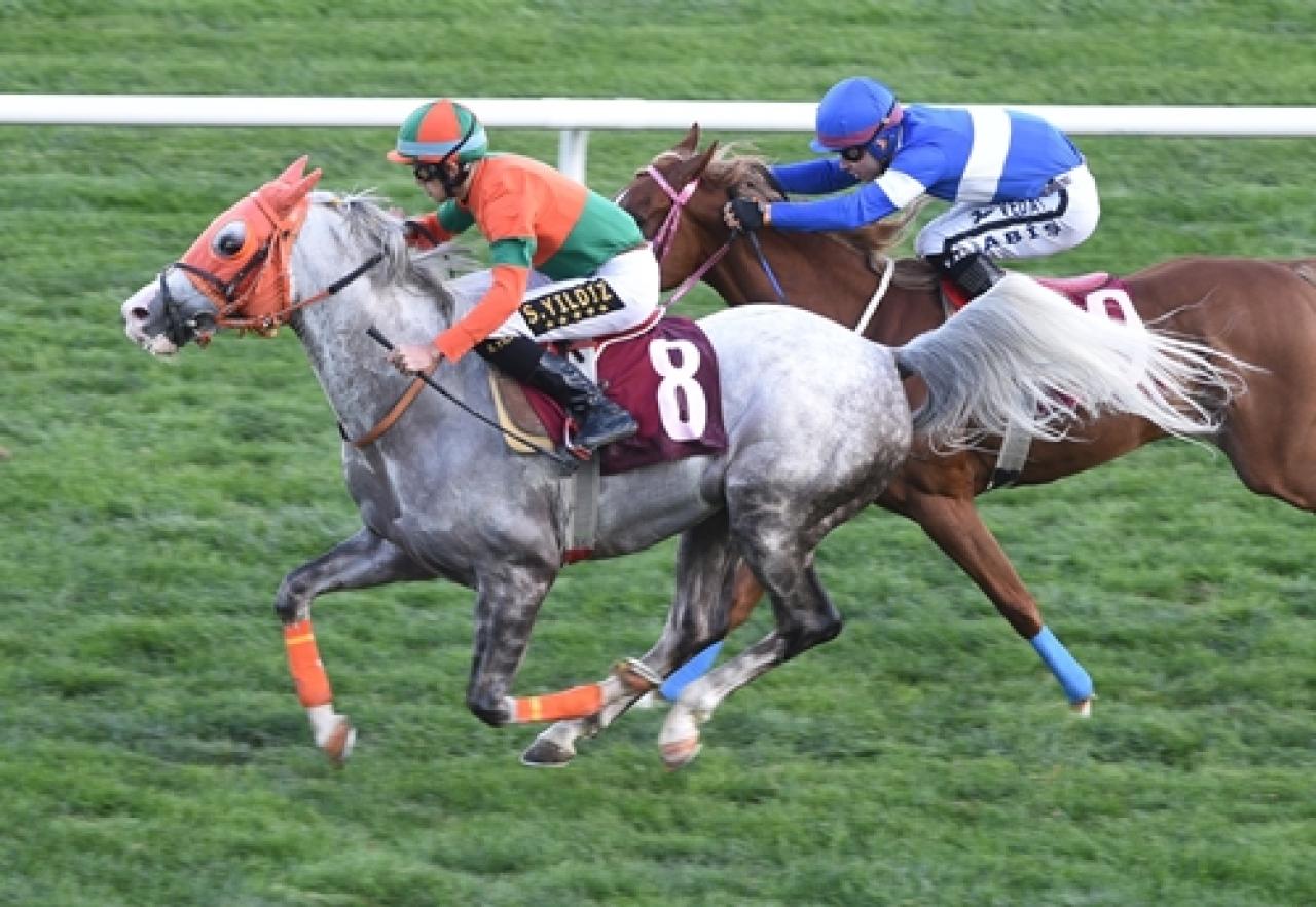 Yumurta Koşusu’nu Yiğitbatuhan kazandı