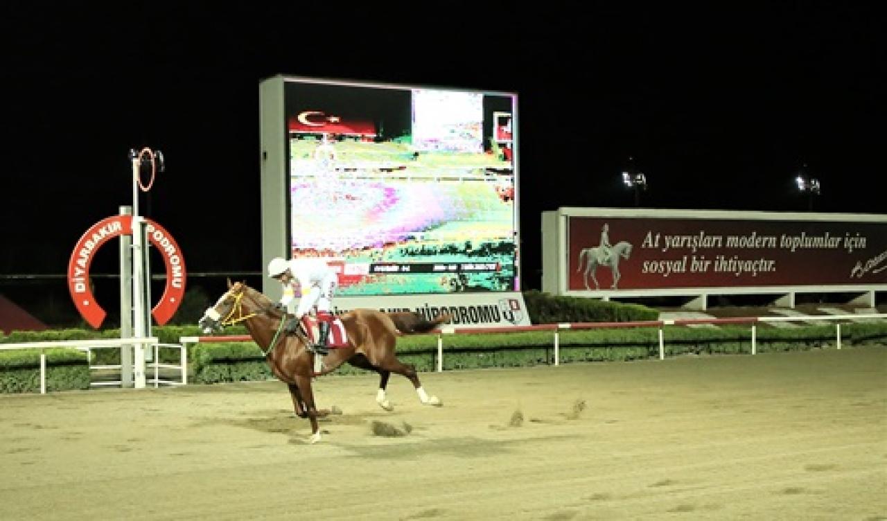 Zerzevan Kalesi Koşusu’nu Kelemer kazandı