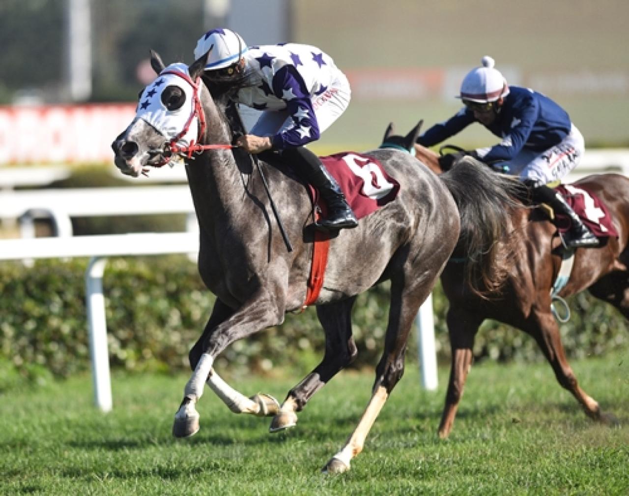 Faruk Ayral Koşusu'nda birinciliğe Biletçi Kız uzandı