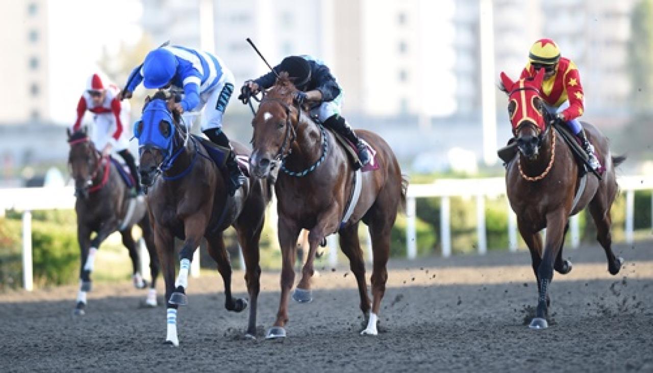 Atıf Er Koşusu'nu My Pretty Girl kazandı