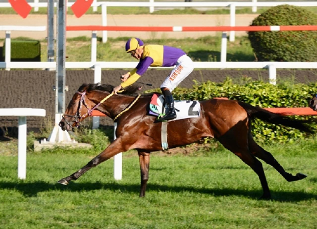 Harem Koşusu’nda zafer üst üste ikinci kez Ladys Secret’ın oldu