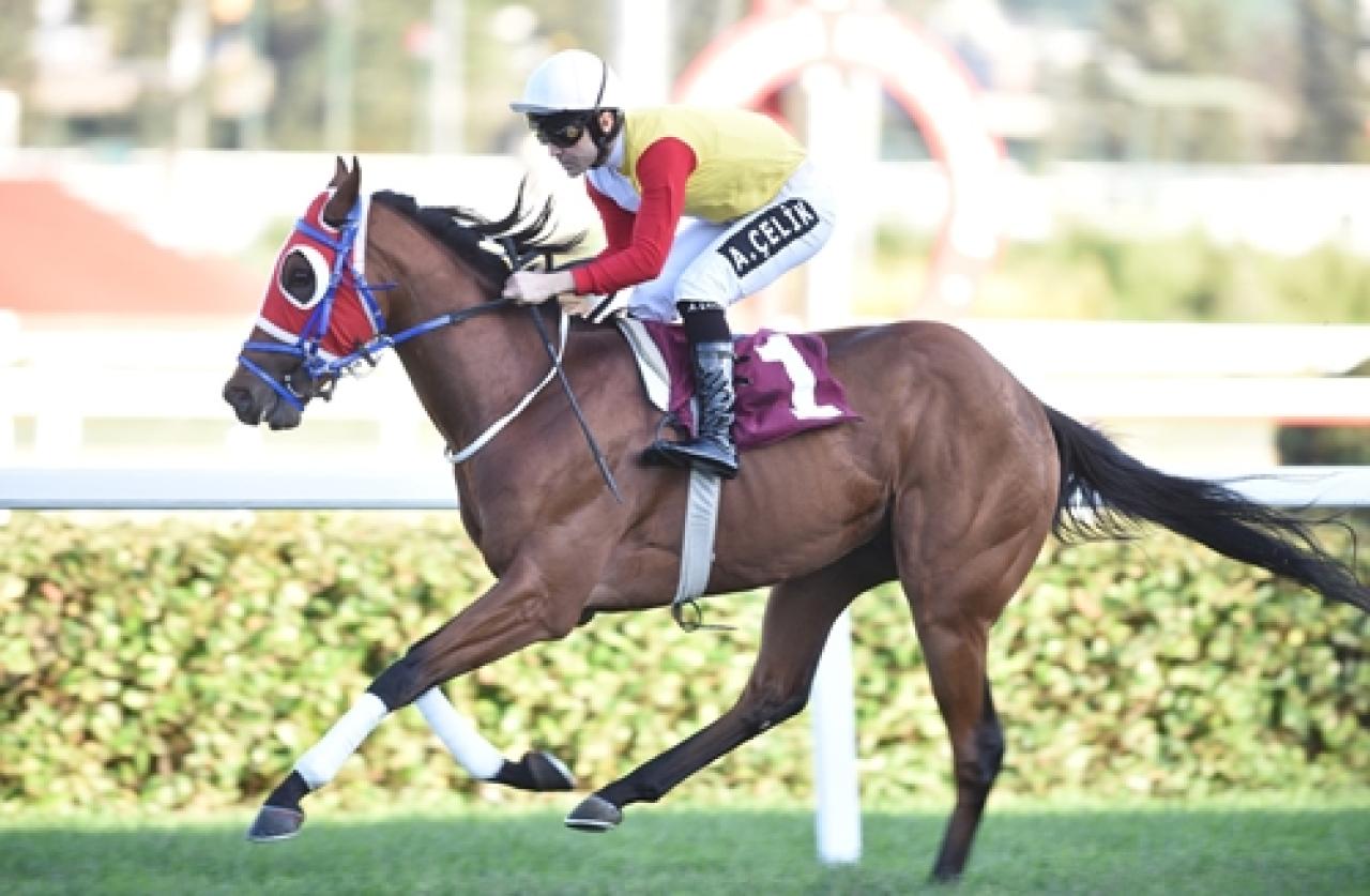 Aydoğan San Koşusu’nda galibiyete Myboytomo ulaştı