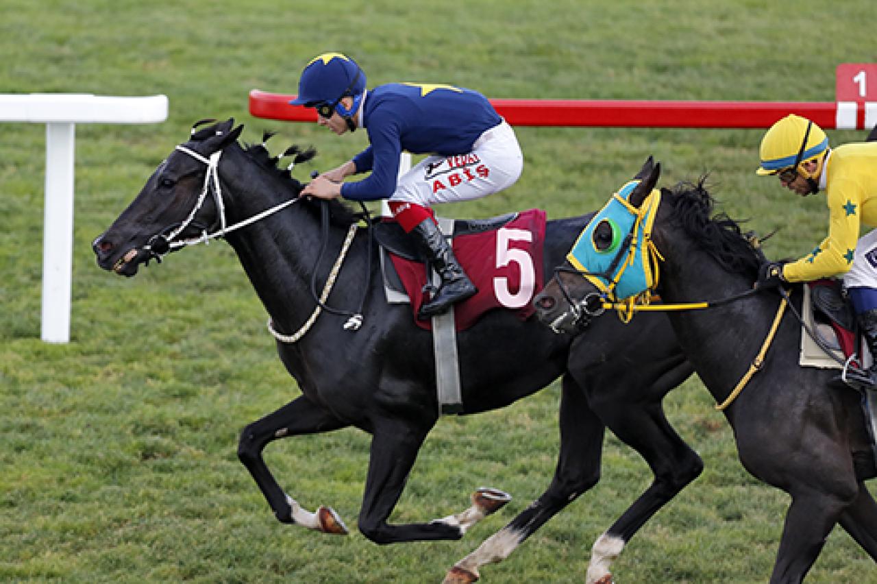 Merhum Asli Üyemiz A. Semiral Bilbaşar’ı saygıyla anıyoruz