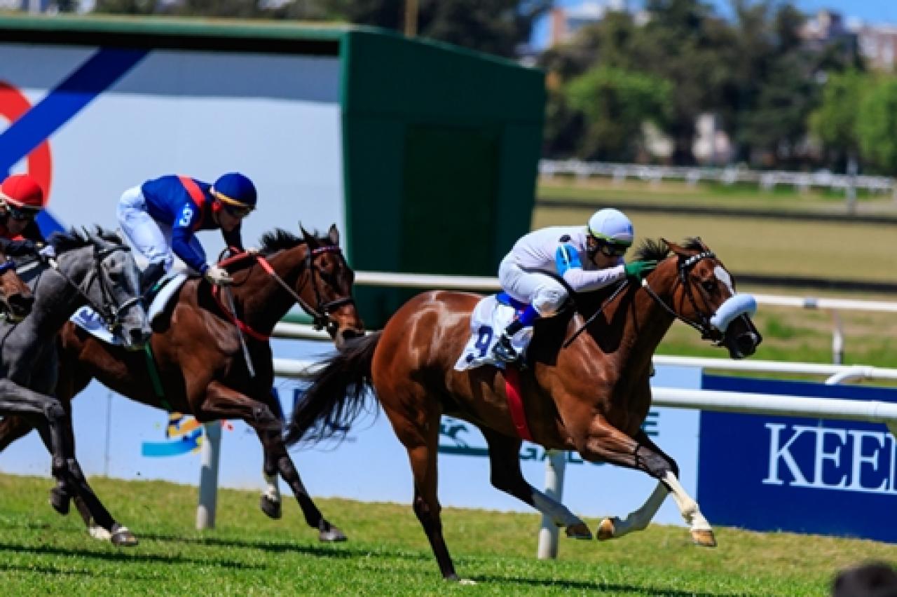 Arjantin’de TJK Koşusu gerçekleştirildi