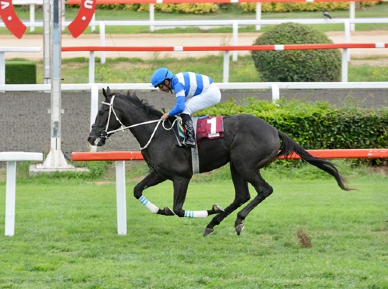 TYAYSD İstanbul Yearling Satışı Koşusu’nu Ride The Lightning kazandı