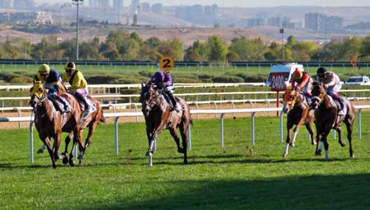 Ankara Büyükşehir Belediye Başkanlığı Koşusu'nda Grasyas beyaz bayrak ayna yaptı