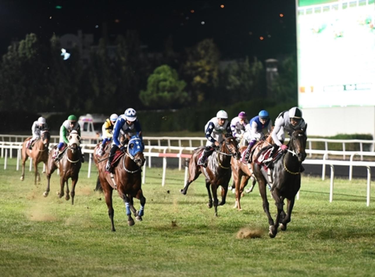 İsmail Hakkı Argüden Koşusu'nu Lady North kazandı