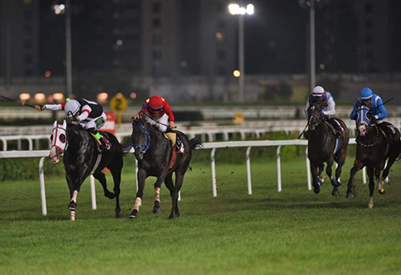 Sedat Üründül Koşusu'nu Alakont kazandı