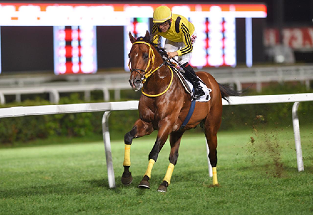 Prens Halim Sait Türkhan Koşusu'nda birinciliğe Alihan uzandı