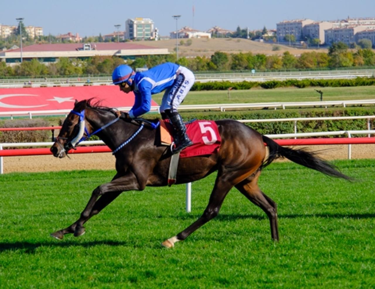 Dünya Gıda Günü Koşusu’nu Feeling Good kazandı