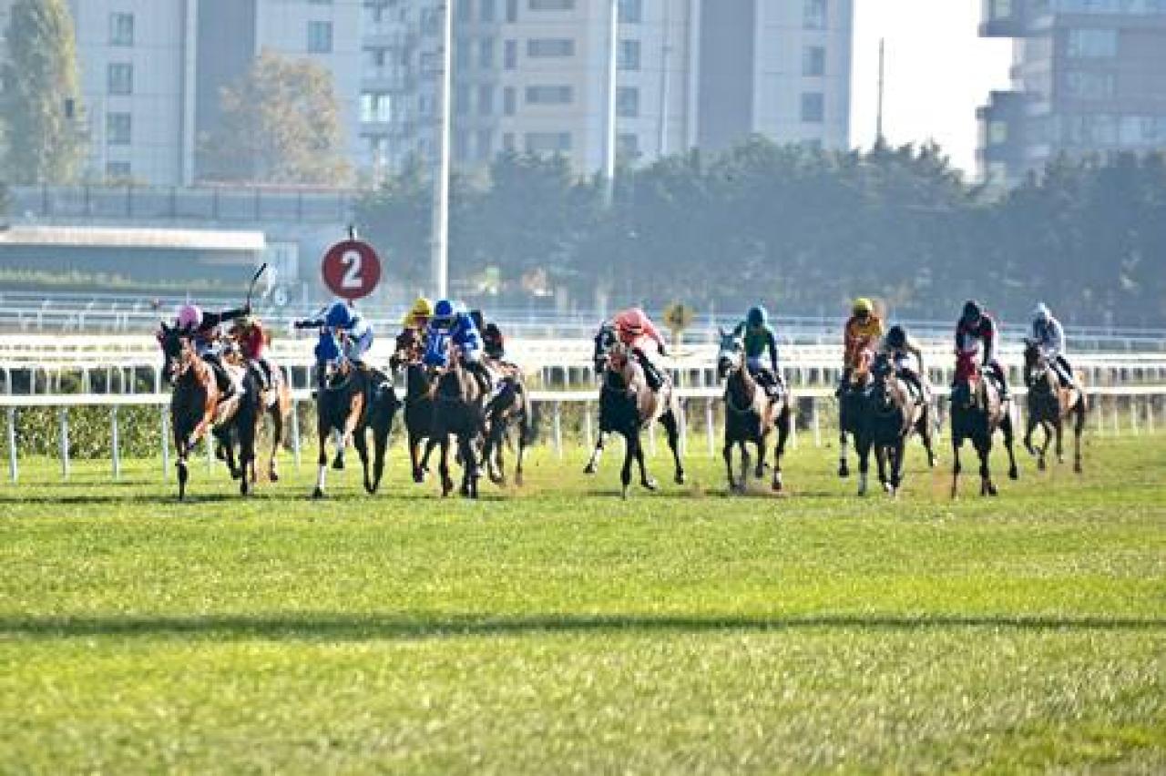 Zühtü Erişen Koşusu'nda kazanan Sidneys Star oldu