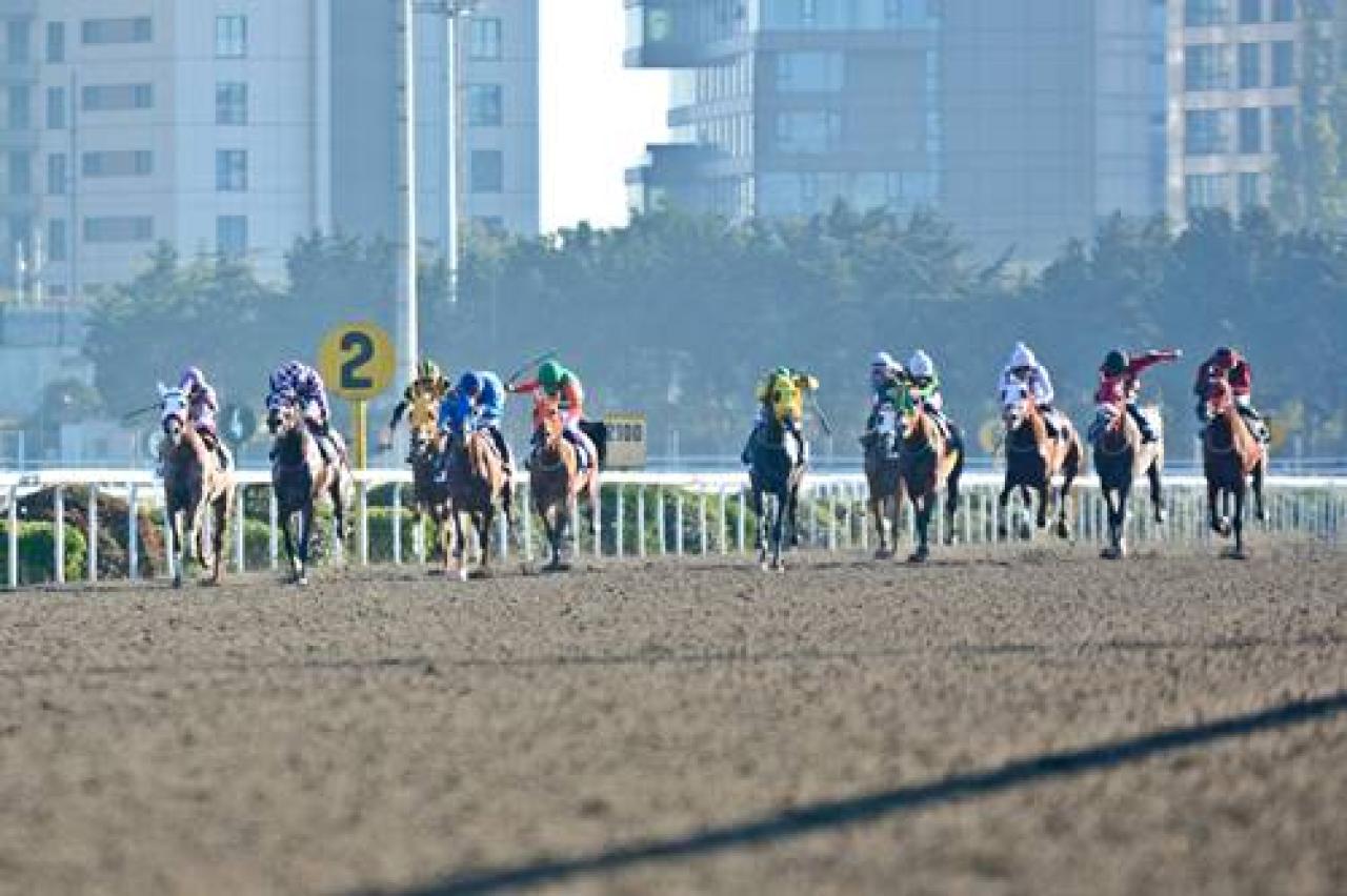 Haralar Koşusu'nda zafere Soyluşah uzandı